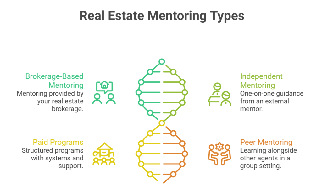 real estate mentoring types